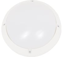 Светильник ОНЛАЙТ OBL-R1-12-6.5K-WH-IP65-LED 61194