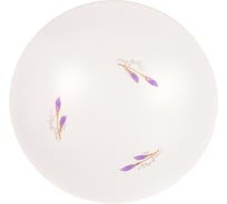 Бытовой светодиодный светильник ЭРА SPB-6 Lily 14-6,5K 14Вт 6500К 980 Лм 260x90 мм Б0034972