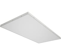 Светильник DIODEX led мед макси 80вт, 3000к, равномерный, белый, 1-10, 4673726718861