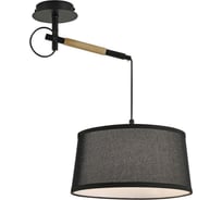 Настенно-потолочный светильник F-promo eureka 3006-1P