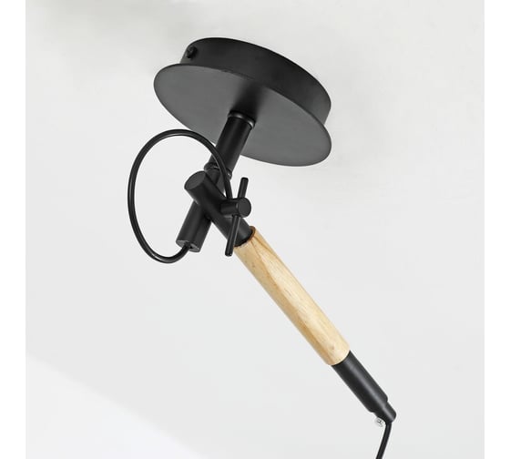 Настенно-потолочный светильник F-promo eureka 3006-1P