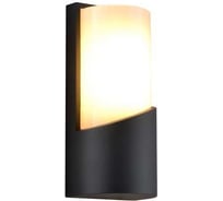 Настенный светильник ESCADA E27*40W IP44 Dark grey 30004W/01