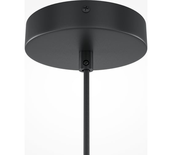 Подвесной светильник MAYTONI roots 1хe27x40w металл черный MOD192PL-01W1