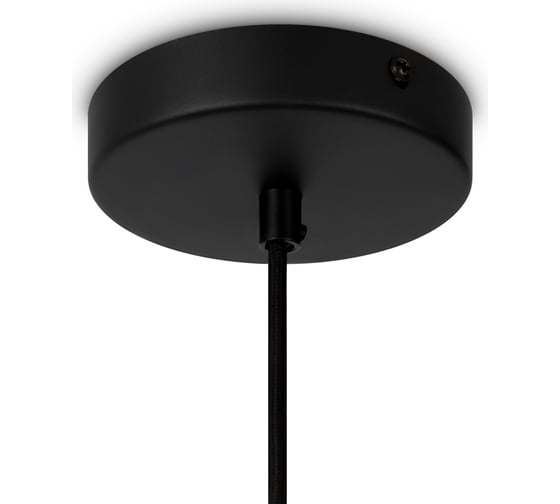 Подвесной светильник MAYTONI roots 1хe27x40w металл черный MOD195PL-01W1