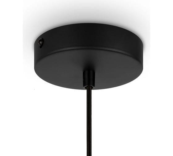 Подвесной светильник MAYTONI roots 1хe27x40w металл черный MOD193PL-01W
