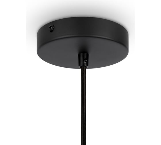 Подвесной светильник MAYTONI roots 1хe27x40w металл черный MOD191PL-01W