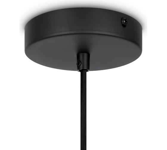 Подвесной светильник MAYTONI roots 1хe27x40w металл черный MOD192PL-01W