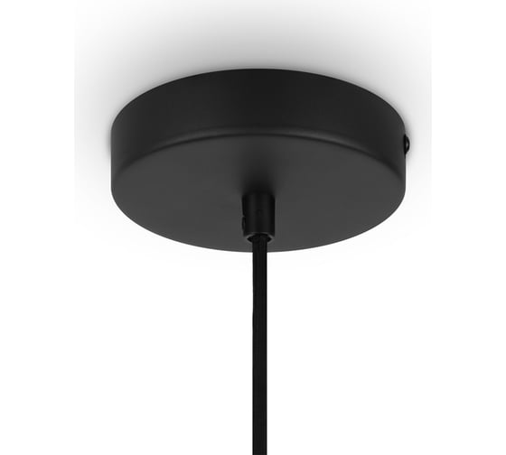 Подвесной светильник MAYTONI roots 1хe27x40w металл черный MOD194PL-01W