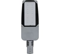 Уличный LED-cветильник Формула Света ДКУ 21-80-005 (5000К) "OPTIMA" SGLM30000007014