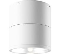Потолочный светильник MAYTONI outdoor spin led 12w металл и стекло белый O310CL-L12W3K