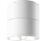 Потолочный светильник MAYTONI outdoor spin led 12w металл и стекло белый O310CL-L12W3K 1