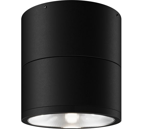 Потолочный светильник MAYTONI outdoor spin led 12w металл и стекло графит O310CL-L12GF3K 1