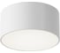 Потолочный светильник MAYTONI outdoor zon ip led 15w алюминий и пластик белый O430CL-L15W4K 1