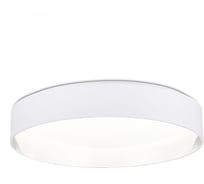 Потолочный светильник Evoluce, белый, серебристый led 1x50w 3000k-5000k, SLE300552-01