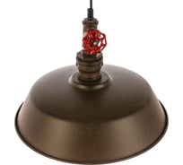 Декоративный подвесной светильник Fametto DLC-V102 E27 RUST серия Vintage UL-00000971