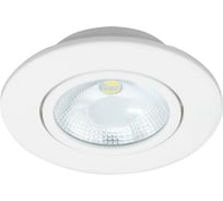 Точечный светильник Lumin'arte COB-DLL5W-SR