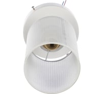 Потолочный светильник Lumin'arte Luch-CL40E14-1WH