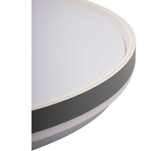 Светильник Jazzway декоративный PPB LUNA 60w 4000K IP20 D480х75 5049475