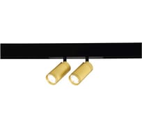Трековый светильник ST luce smart, золотистый, led, 2x10w, 2700k-6000k, 1440lm, d50xh41, 220v, ST660.286.20