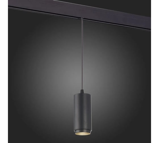 Магнитный трековый светильник ALMA LIGHT подвесной, zoom черный, led, 1x6w, 4000k, 667lm, d60xh120, 48v, ALP00200BK-4000K-LED.1x6W