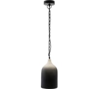 Подвесной светильник Bergenson Bjorn Sustainble collection, Ø22x39 см, черный/белый BB0000174