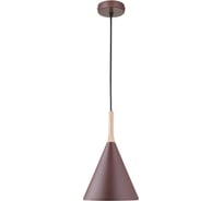 Подвесной светильник Bergenson Bjorn Mango Kart, Ø25x42 см, вишневый BB0000453