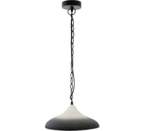 Подвесной светильник Bergenson Bjorn Sustainble collection, Ø44x19 см, черный/белый BB0000172