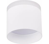 Потолочный светильник ALMA LIGHT белый led 1x12w 4000k 936lm d100xh90, ALC00037WH-4000K-LED.1x12W