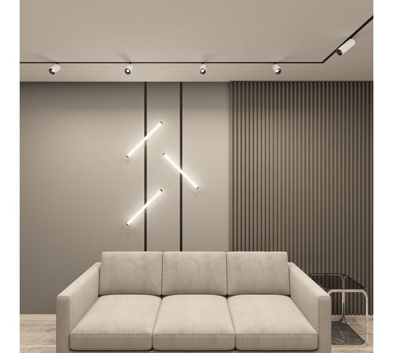 Трековый светильник DENKIRS SMART SPOT DK8041-BW+BK