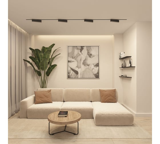 Трековый светильник DENKIRS Edder DK6444-BK