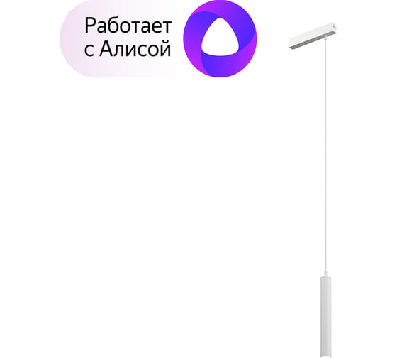 Подвесной трековый светильник DENKIRS Smart DK8008-WH 1
