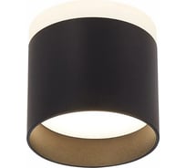 Потолочный светильник ALMA LIGHT черный led 1x9w 4000k 702lm d79xh75, ALMA LIGHT ALC00036BK-4000K-LED.1x9W