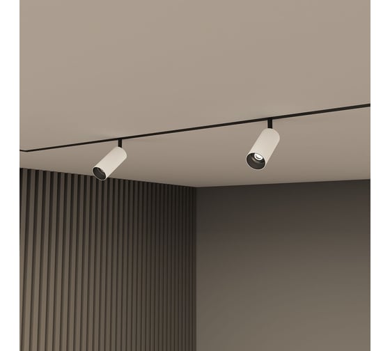 Трековый светильник DENKIRS SMART SPOT DK8040-BW+BK