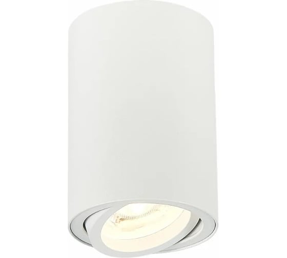Потолочный светильник ALMA LIGHT (комплект 4шт) белый, матовый gu10 1x50w d70xh100, без лампы, ALC00107WH-70-GU10.1x50W_4