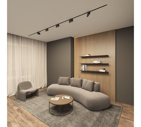Трековый светильник DENKIRS Edder DK6446-BK