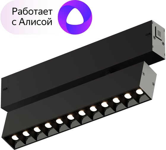 Трековый светильник DENKIRS Smart DK8006-BK 1