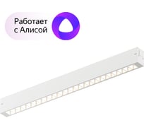 Трековый светильник DENKIRS Smart DK8002-WH