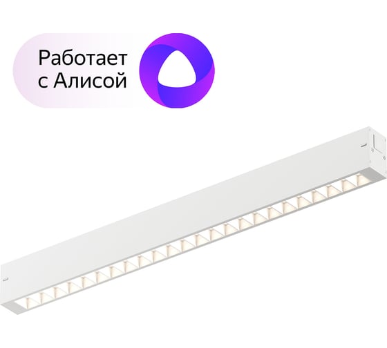 Трековый светильник DENKIRS Smart DK8002-WH