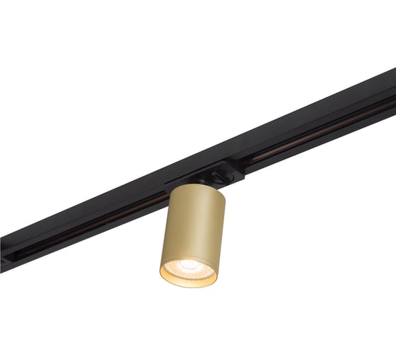 Трековый светильник DENKIRS TUBE DK6201-BG