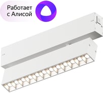 Трековый светильник DENKIRS Smart DK8006-WH