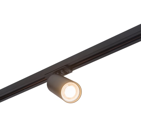 Трековый светильник DENKIRS DK6202-BK