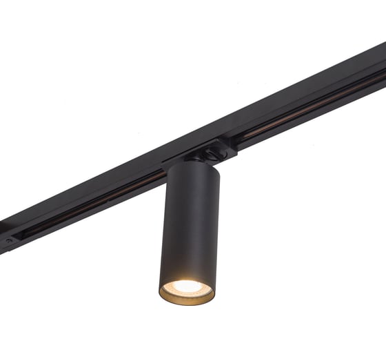 Трековый светильник DENKIRS DK6202-BK