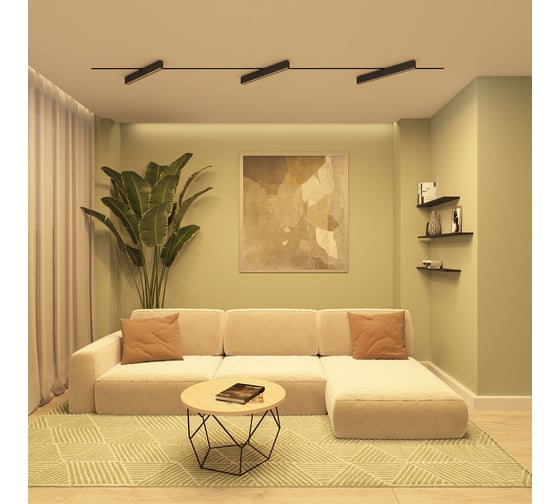 Трековый светильник DENKIRS Edder DK6634-BK