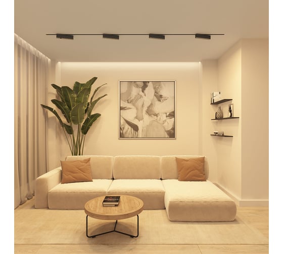 Трековый светильник DENKIRS Edder DK6434-BK