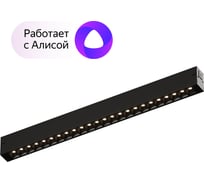 Трековый светильник DENKIRS Smart DK8002-BK