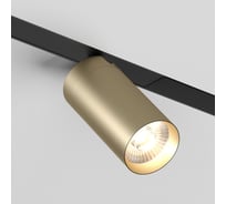 Трековый светильник DENKIRS Smart DK8020-BG