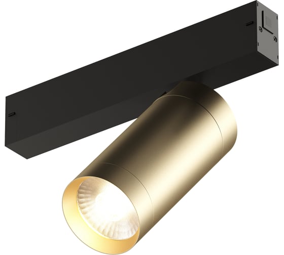 Трековый светильник DENKIRS Smart DK8020-BG