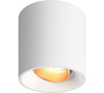 Накладной светильник DENKIRS DK3090-WBR