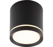 Накладной светильник DENKIRS DK4016-BK