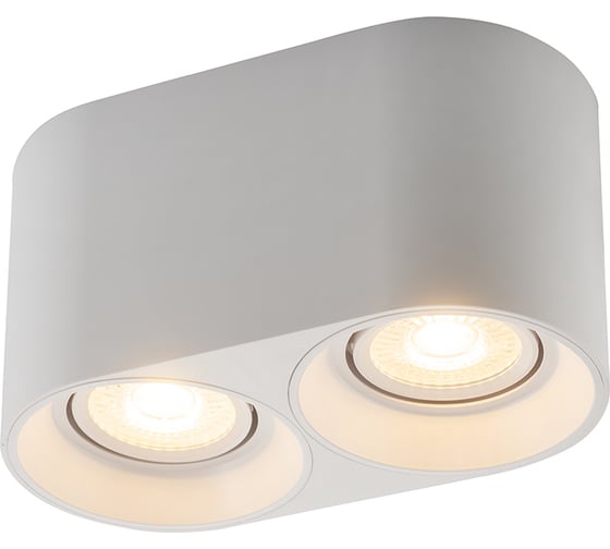 Накладной светильник DENKIRS DK3036-WH